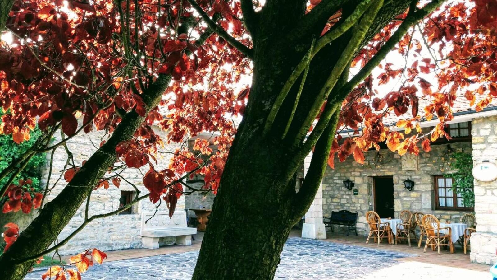 Posada Paz Hinojedo Екстериор снимка